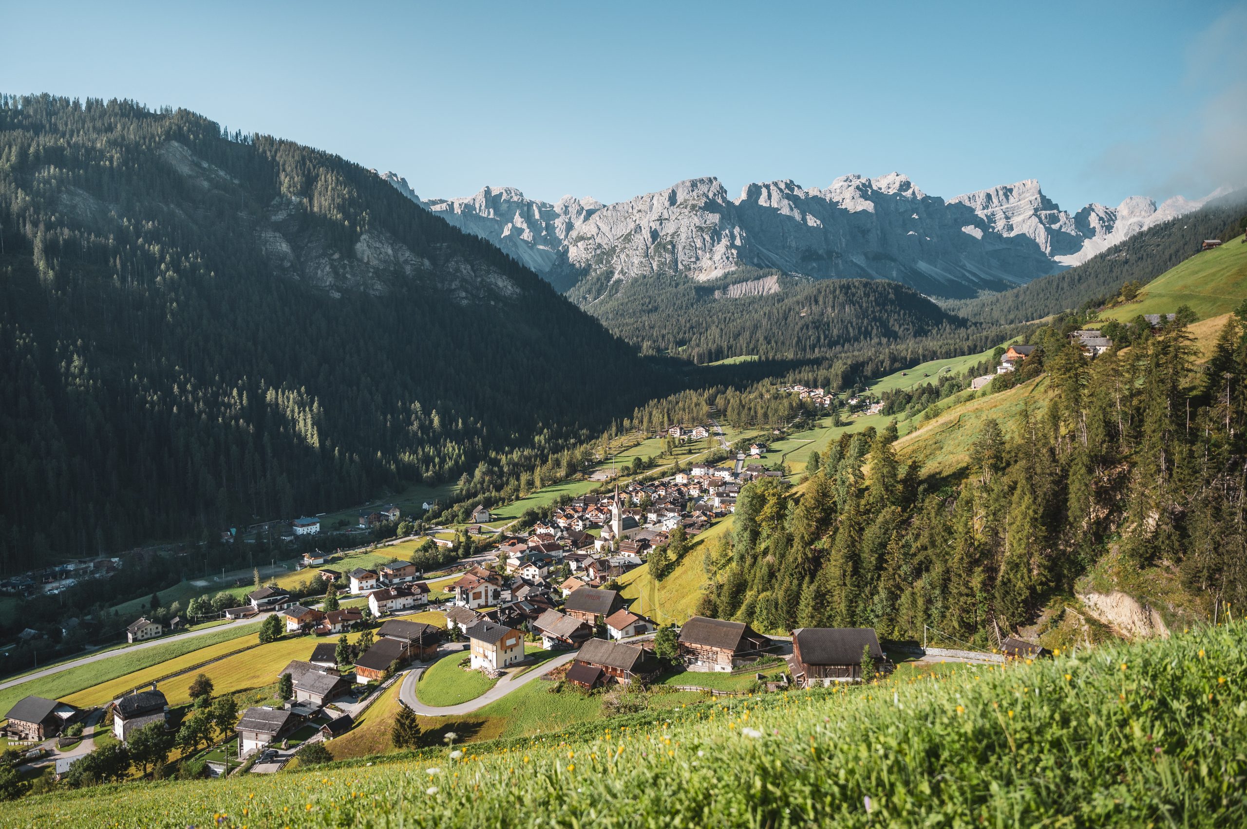 moling alex lungiarü (1)