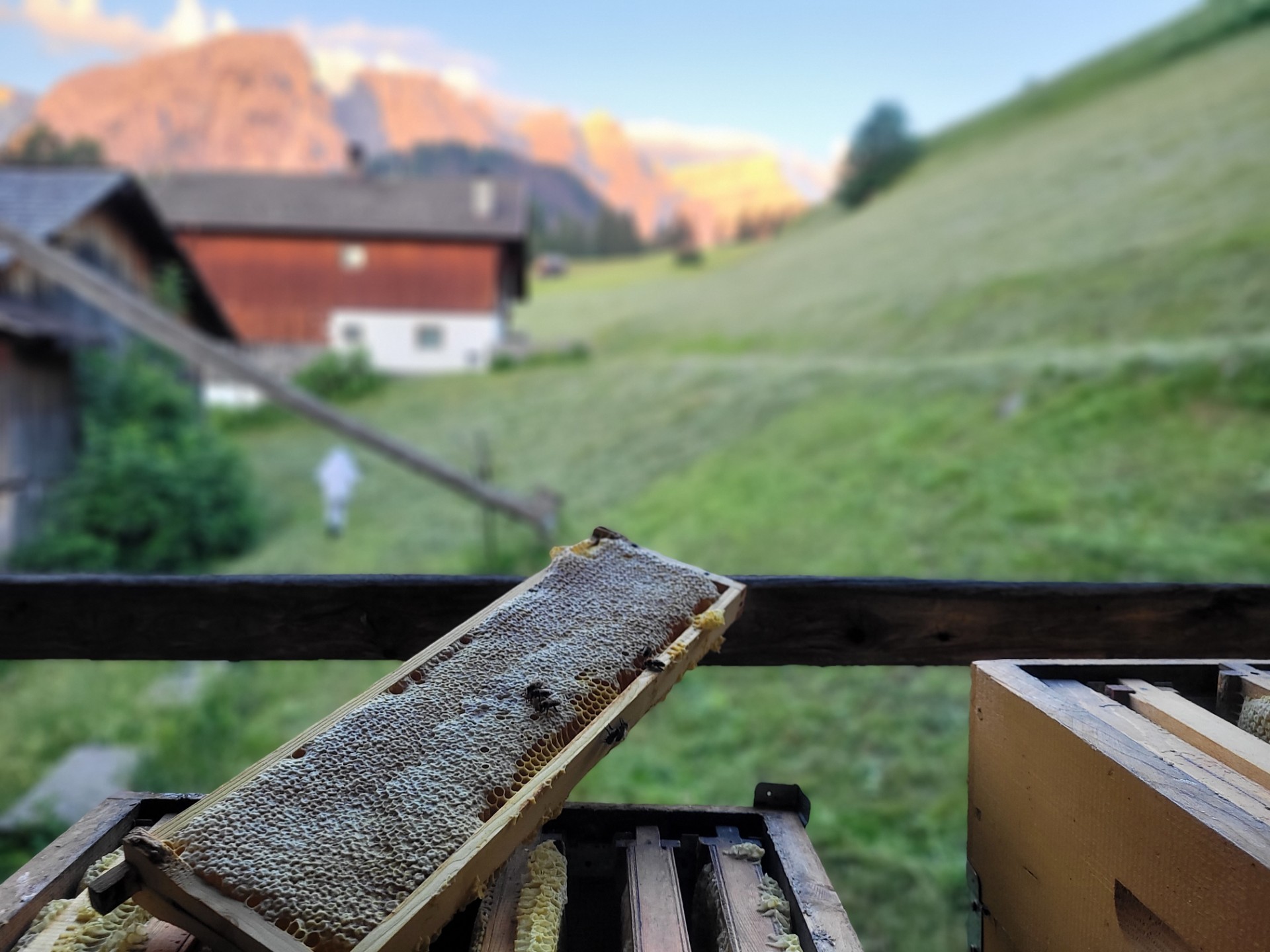 thumbnail 20250620 053536