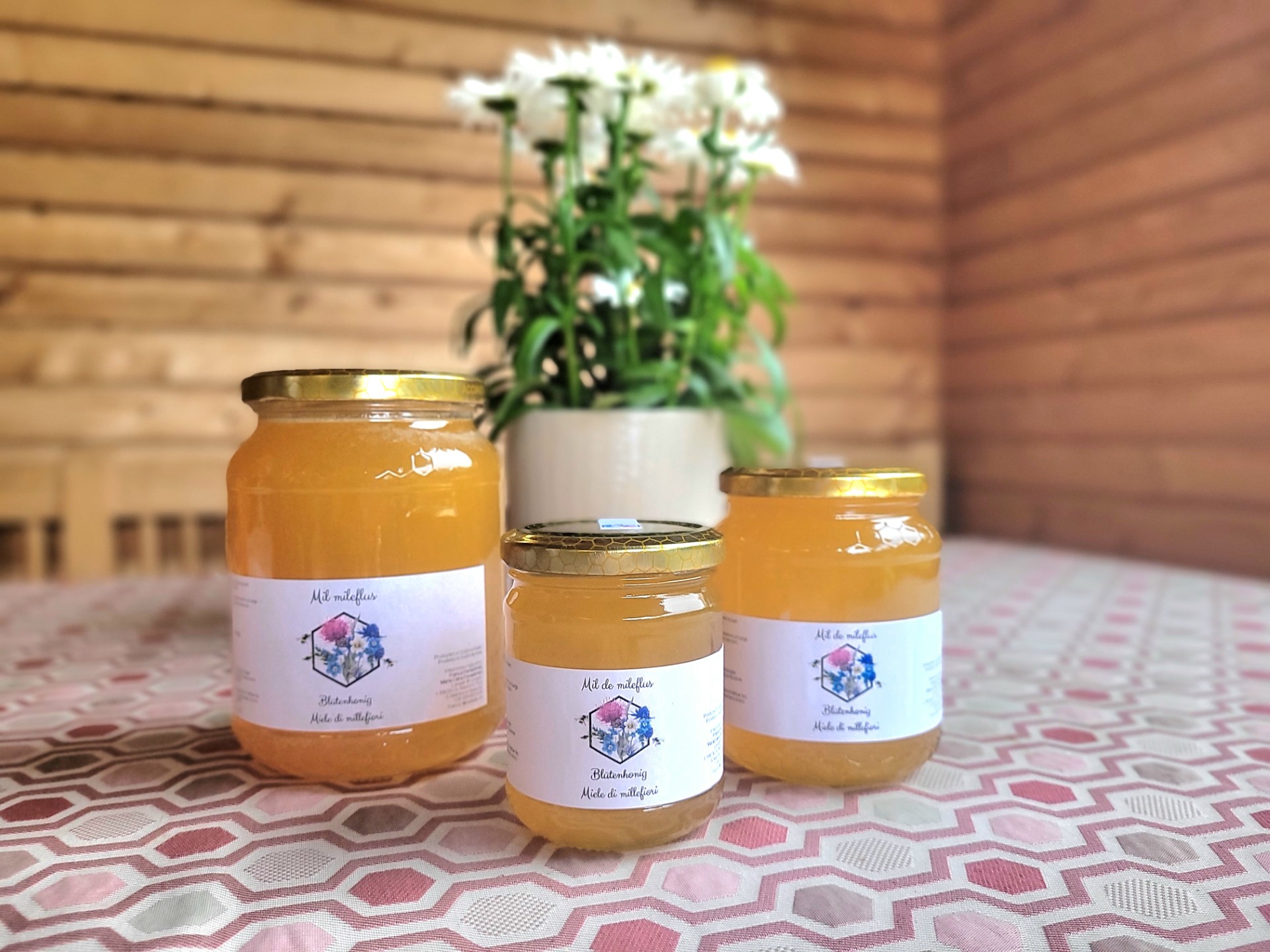 thumbnail 20250701 182721 (1)