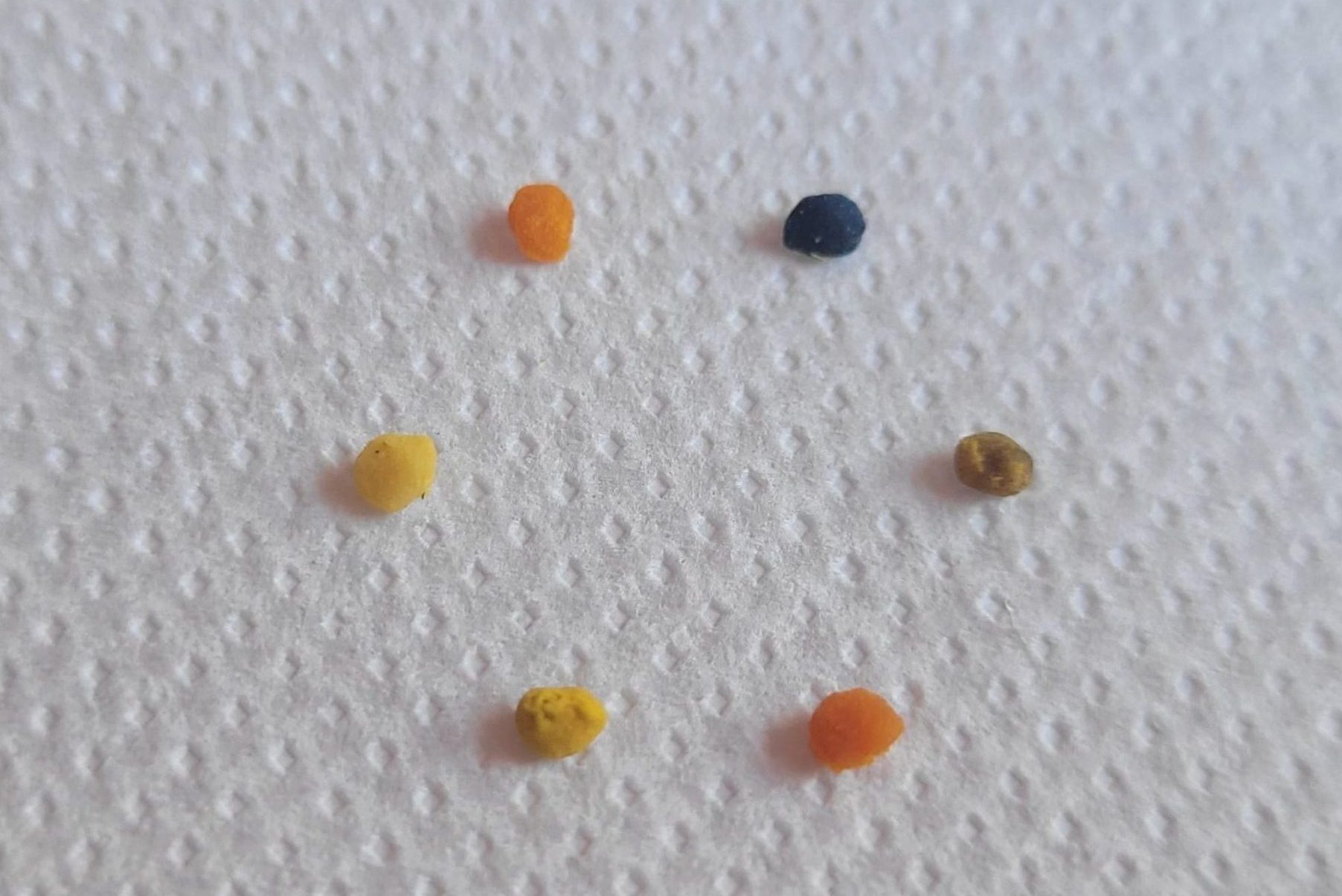 thumbnail img 20240415 163924 136